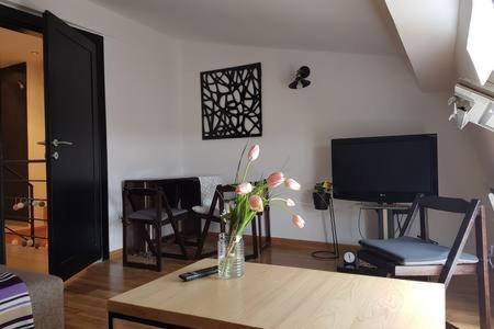 Svetogorska Tri Apartman Belgrád Kültér fotó